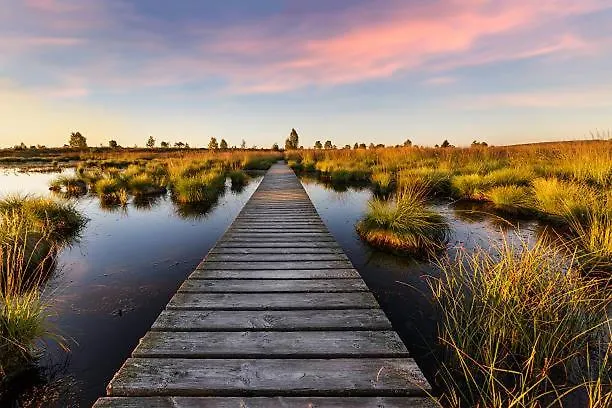 Hébergement de vacances Tiny Twins